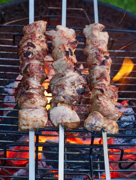 Grilled Marinated Pork Meat Skewers Charcoal Grill Selective Focus — Stock Photo, Image