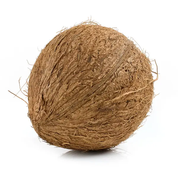 Frische Reife Ganze Kokosnussfrüchte Isoliert Auf Weißem Hintergrund lizenzfreie Stockbilder