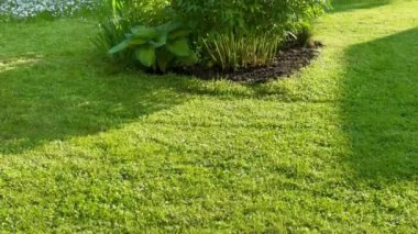 Güneşli bir yaz gününde çiçek tarhlı güzel yeşil bir bahçe.