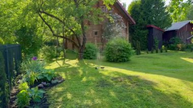 Güneşli bir yaz gününde çiçekli güzel bir bahçe manzarası sulanır.