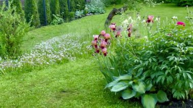 Yaz günü çiçek tarhlı güzel yeşil bir bahçe manzarası
