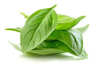 Beyaz arkaplanda izole edilmiş taze fesleğen yaprakları yığını