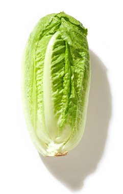 Beyaz arka planda izole edilmiş taze yeşil marul, üst görünüm