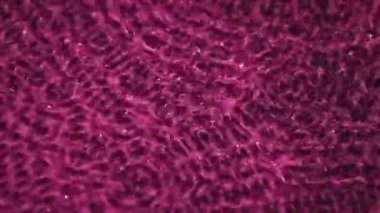 Derin mor girdap halindeki su yüzeyi ses titreşimleri tarafından oluşturulmuştur.