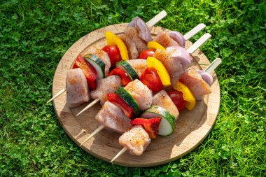 Taze çiğ tavuk ve sebze şişleri yeşil çimlerin üzerinde ızgara için hazır.