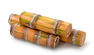 Beyaz arkaplanda izole şeker kamışı