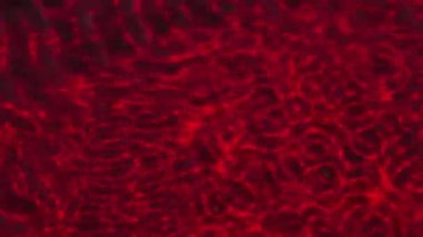 Kırmızı girdap halindeki su yüzeyi ses titreşimleriyle oluşur.