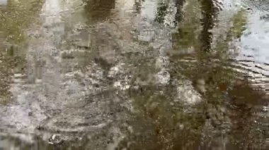 Yağmur damlaları su birikintisine düşer, kabarcıklar ve dalgalar oluşur. Yağmurlu bir gün.