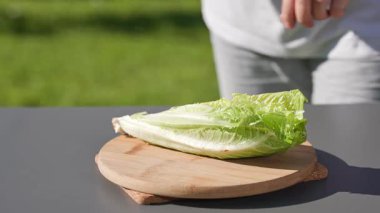 Şef sağlıklı bir salata hazırlamak için tahtaya taze yeşil marul yaprakları kesiyor. Açık hava yemekleri, yakın mesafe yemekleri.