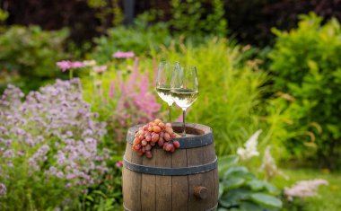 Yeşil bahçedeki fıçının üzerinde iki kadeh beyaz şarap.