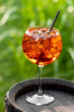 Bir bardak aperol spreyli buzlu kokteyl ve yeşil bahçe arka planında saman.