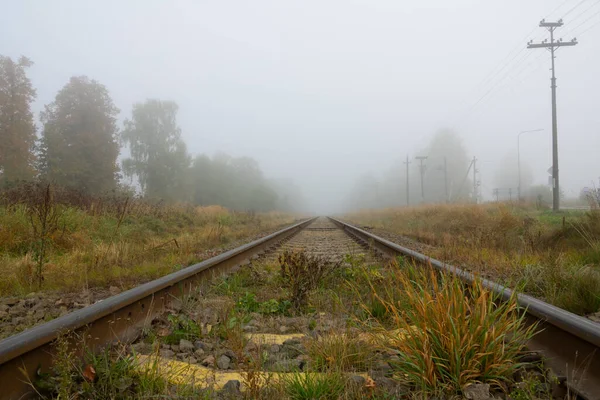 雾中的铁路线 免版税图库图片
