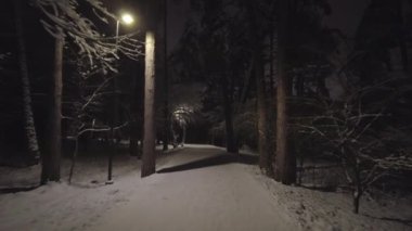 Kış parkında gece yürüyüşü