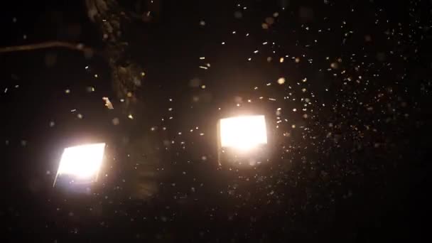 Motten Kräuseln Sich Licht Der Lampen — Stockvideo
