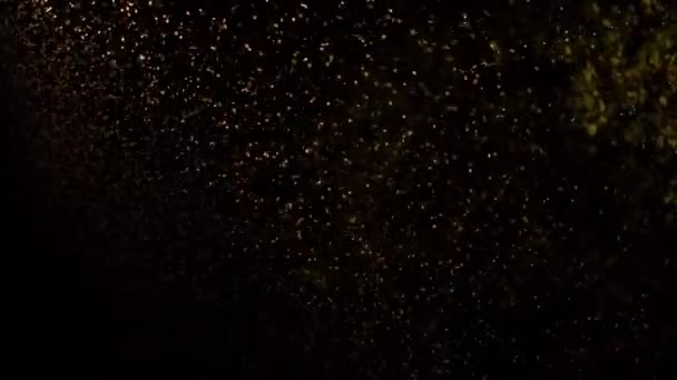 月はランプの光の中でカール — ストック動画