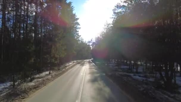 Coche Bosque Camino Invierno Sol — Vídeos de Stock