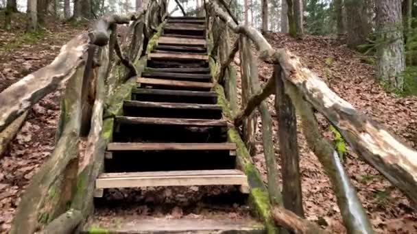 Πάνω Από Τις Σκάλες Του Δάσους Και Μέσα Από Δάσος — Αρχείο Βίντεο
