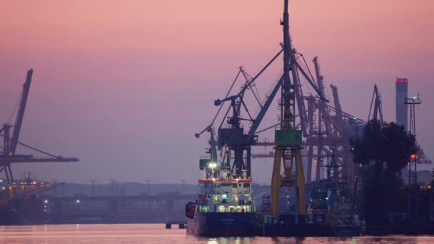 Gdynia Polônia Por Volta Agosto 2019 Gdynia Seaport Zona Industrial — Vídeo de Stock