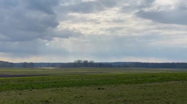 Bahar yeşili tarlası, titrek atış.