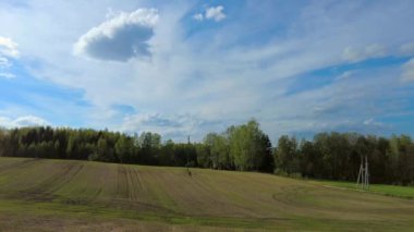 Bahar yeşili tarlası, titrek atış.