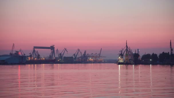 그디니아 폴란드 2019년 8월경 그디니아 항구에서의 — 비디오