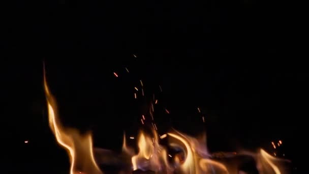 Φωτιά Καίει Νύχτα Αργή Κίνηση 250P — Αρχείο Βίντεο