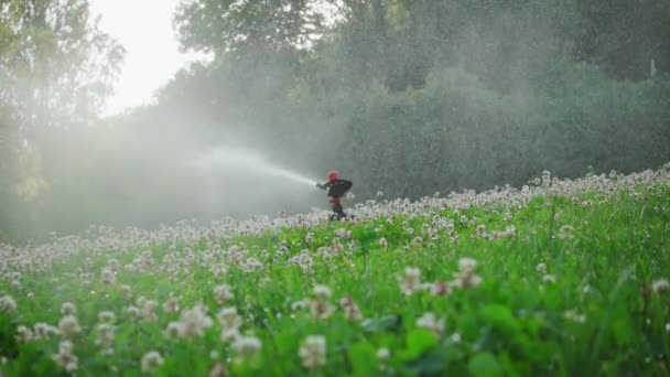 洒水者浇灌草坪 慢动作250P — 图库视频影像