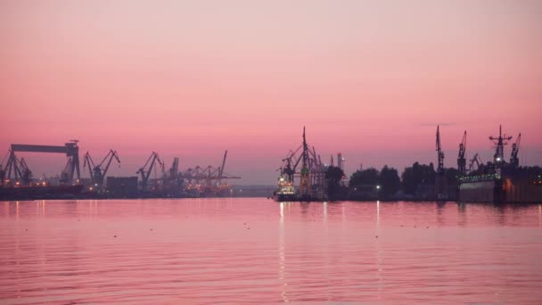 Gdynia Polen Circa Augustus 2019 Nachtwerk Havens Van Gdynia Laden — Stockvideo