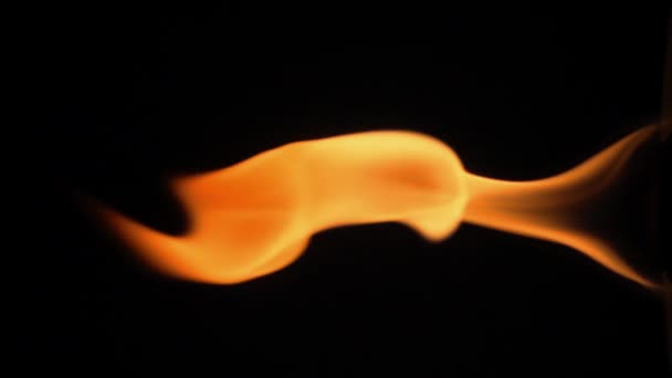 Fire Burns Black Background 500 Fps Slow Motion — Stock Video