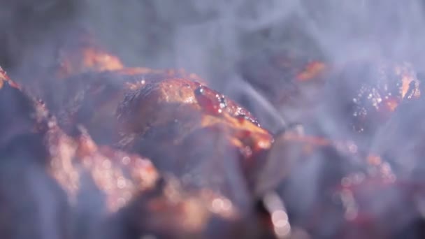 Shish Kebab Jest Smażony Dymem Zwolnione Tempo 250P 10X — Wideo stockowe