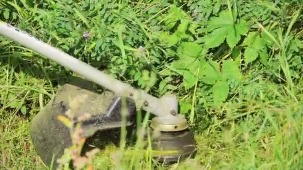 トリマーはスローモーションで草を刈る — ストック動画
