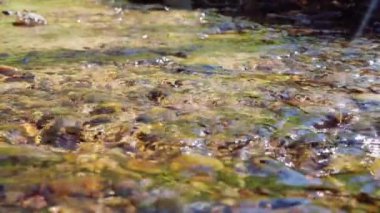 Bir bahar akıntısı ağır çekimde mırıldanıyor.