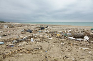 Plastik ve sahildeki diğer çöpler.