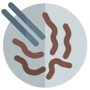 Çubukla servis edilen kızarmış biftek.