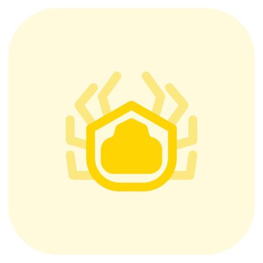 Örümcek yengeci mutfağı, grancevola.