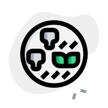 Kasede servis edilen besleyici sığır kuyruğu çorbası.