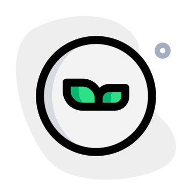 Plain pizza base garnished with fresh leaves