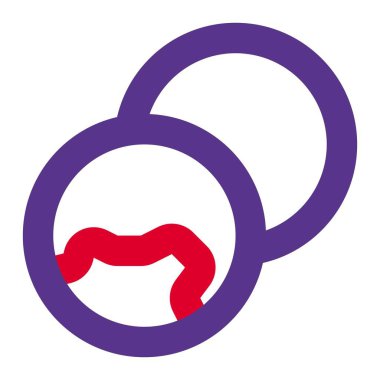 Delicious deep fried sicilian balls.