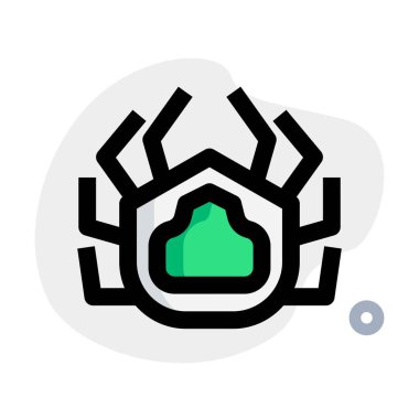 Delicious spider crab grancevola dish.