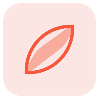 Closeup of delicious italian bread ciriola.