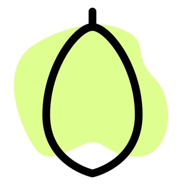 Healthy papaya fruit rich in vitamins.