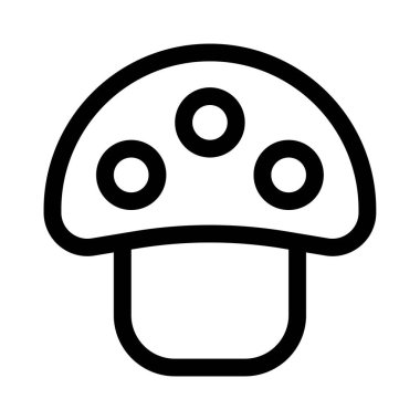 Fresh champignon mushroom rich in vitamins.