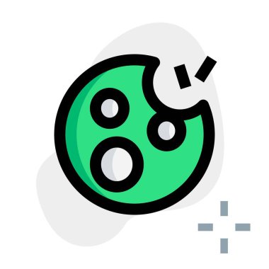 Bitten sweet chocolate chip cookie