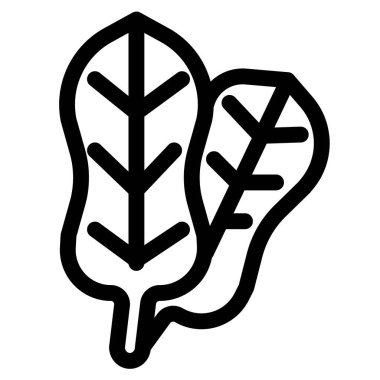 Spinach, leafy edible part of plant.