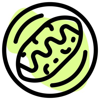 Huarache dish line vector illustration