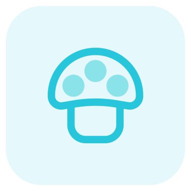 Fresh champignon mushroom rich in vitamins.