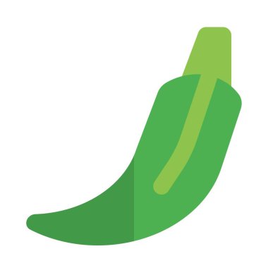 Fresh organic okra ready to cook.