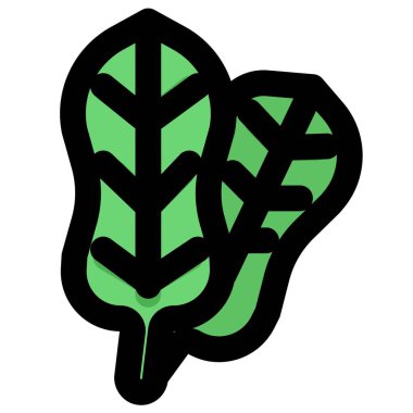 Spinach, leafy edible part of plant.