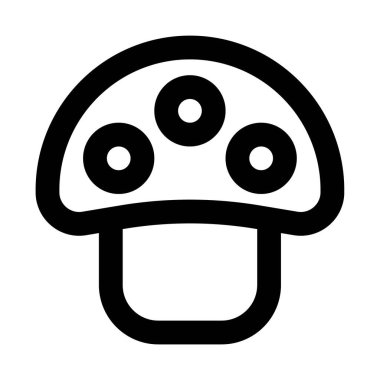 Fresh champignon mushroom rich in vitamins.