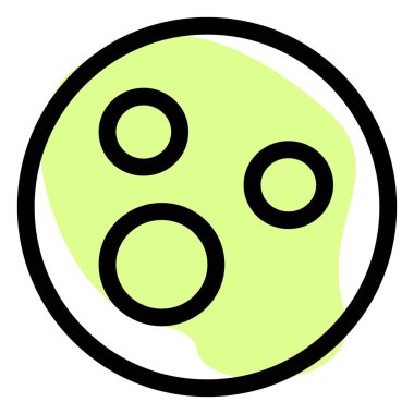 Delicious and brownie chocolate cookie